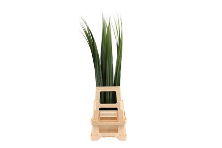 Pandanus Leave 100cm