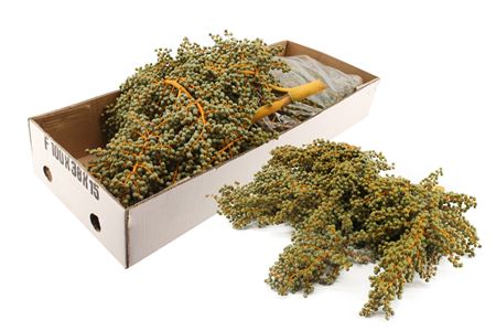 Dates Per Kilo 35cm