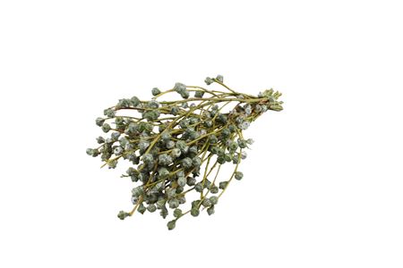 Eucalyptus Boule Per Bunch 60cm 400gr.