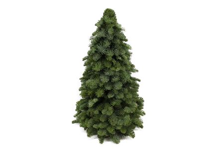 Christmas Tree 60cm