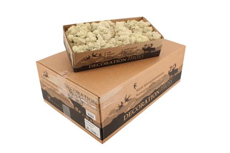 Icelandic Reindeer Moss Natural
