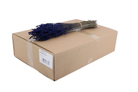 Lavandula Dark Blue Per Bunch 30cm 150gr.