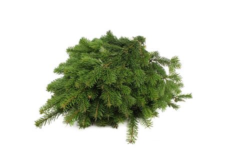 Abies Nordmanniana Hand Bunch 60cm