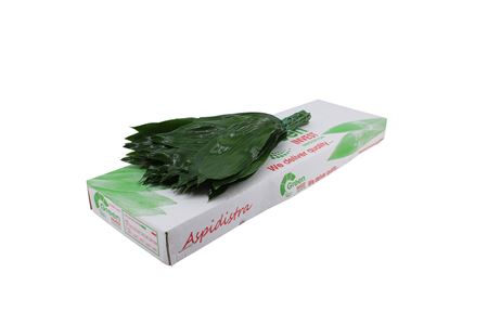 Aspidistra Elatior Per Bunch 70cm